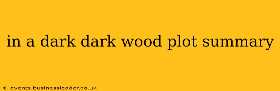 in a dark dark wood plot summary