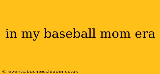 in my baseball mom era