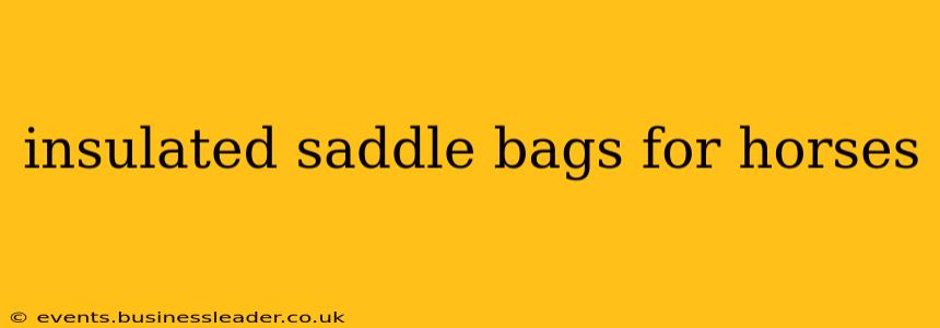 insulated saddle bags for horses