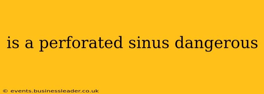 is a perforated sinus dangerous