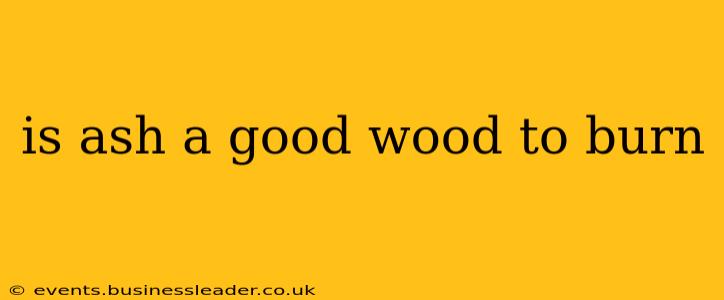is ash a good wood to burn