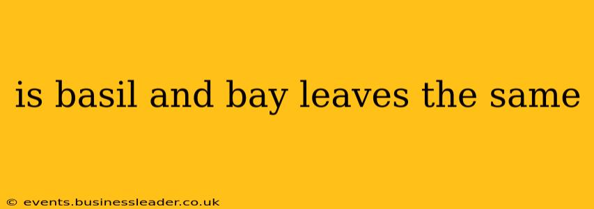 is basil and bay leaves the same