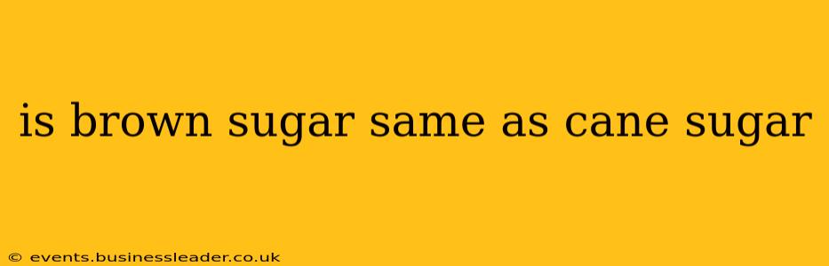 is brown sugar same as cane sugar