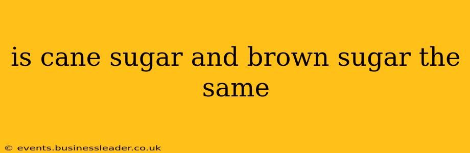 is cane sugar and brown sugar the same