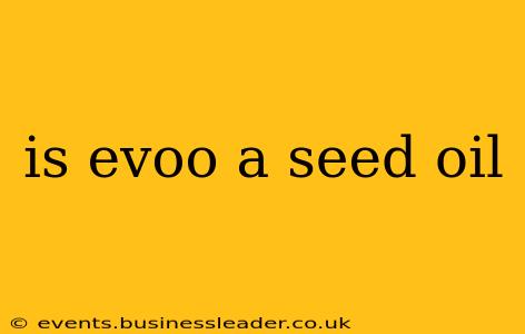 is evoo a seed oil