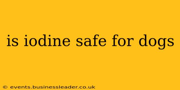 is iodine safe for dogs