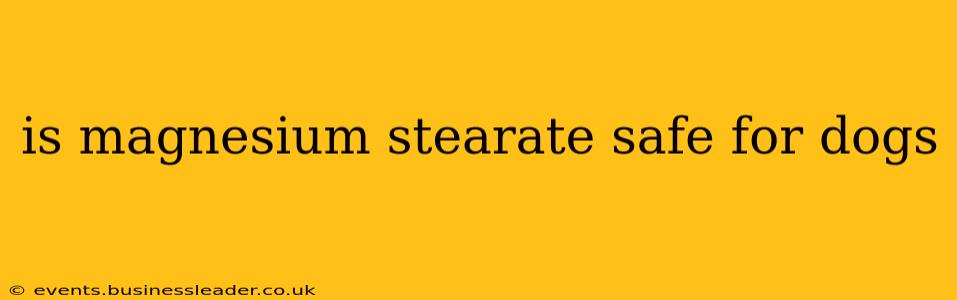 is magnesium stearate safe for dogs