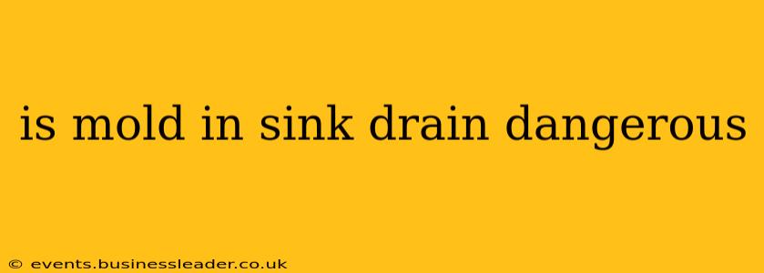 is mold in sink drain dangerous