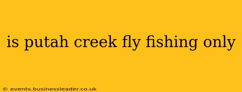 is putah creek fly fishing only