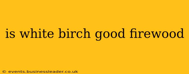 is white birch good firewood