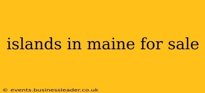 islands in maine for sale