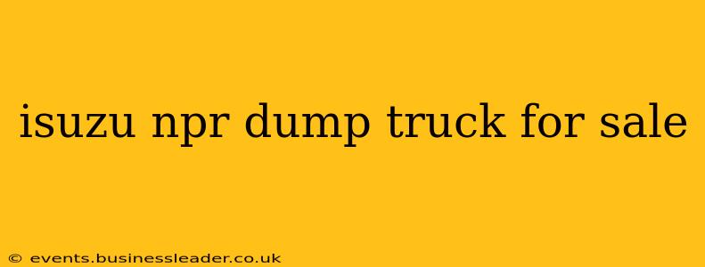 isuzu npr dump truck for sale
