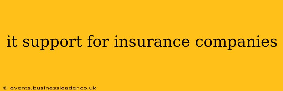 it support for insurance companies