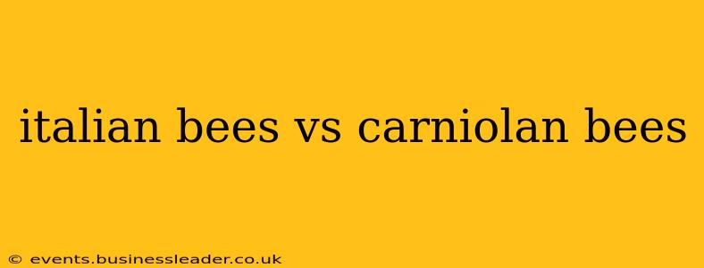 italian bees vs carniolan bees