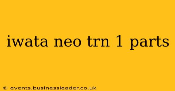 iwata neo trn 1 parts