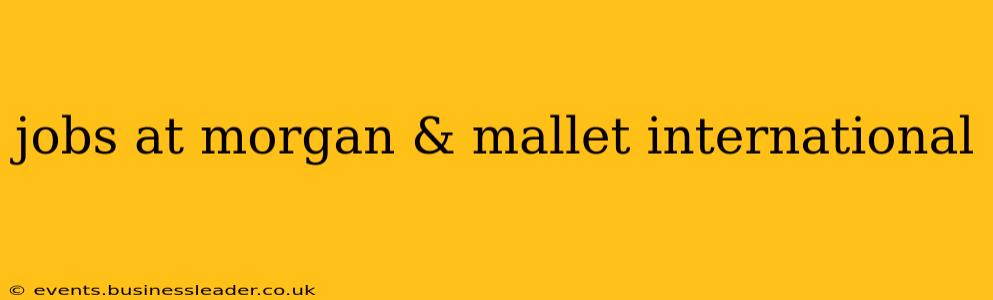 jobs at morgan & mallet international