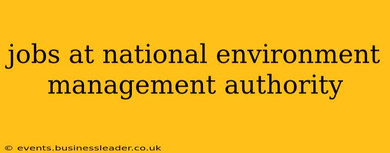 jobs at national environment management authority