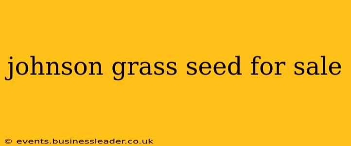 johnson grass seed for sale