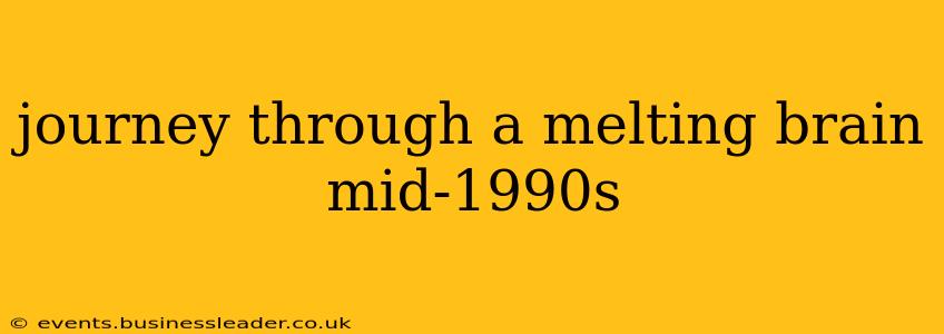 journey through a melting brain mid-1990s