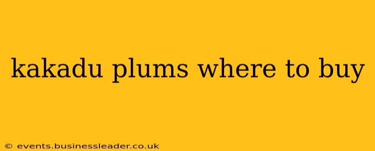 kakadu plums where to buy