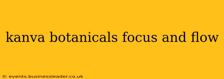 kanva botanicals focus and flow