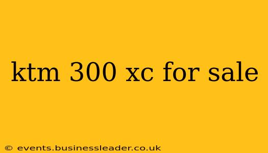 ktm 300 xc for sale