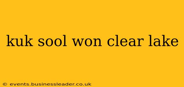kuk sool won clear lake