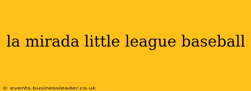 la mirada little league baseball