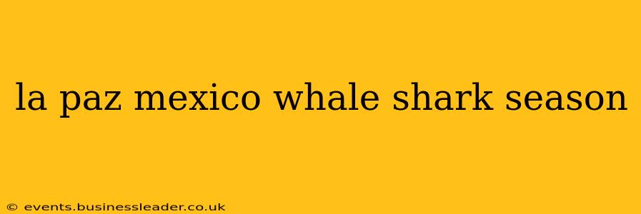 la paz mexico whale shark season