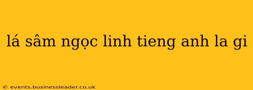 lá sâm ngọc linh tieng anh la gi