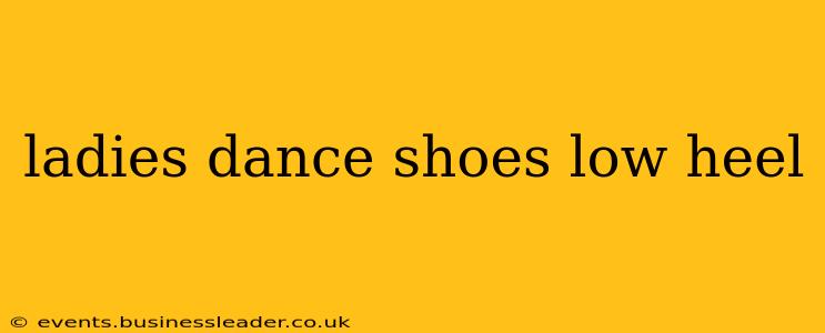 ladies dance shoes low heel