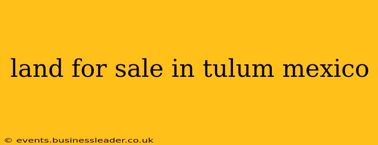 land for sale in tulum mexico