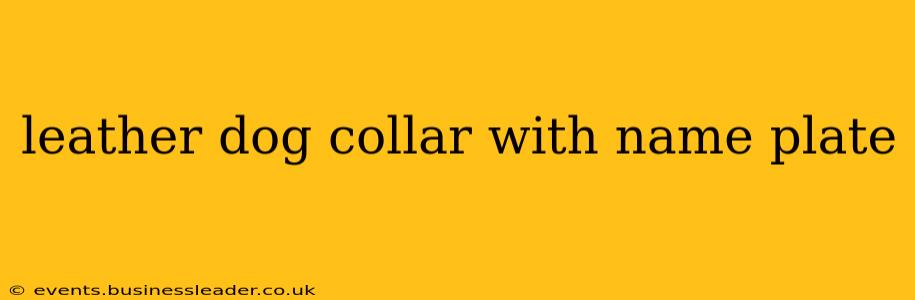 leather dog collar with name plate