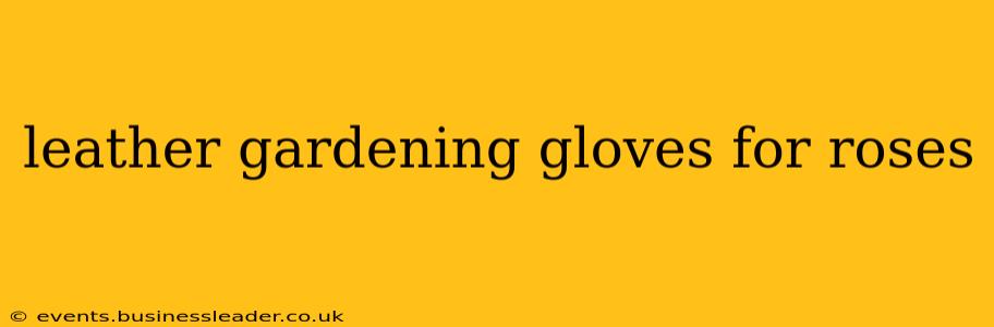 leather gardening gloves for roses