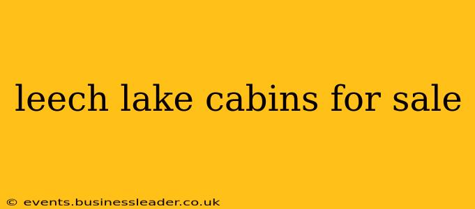 leech lake cabins for sale