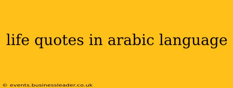 life quotes in arabic language
