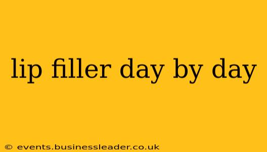 lip filler day by day