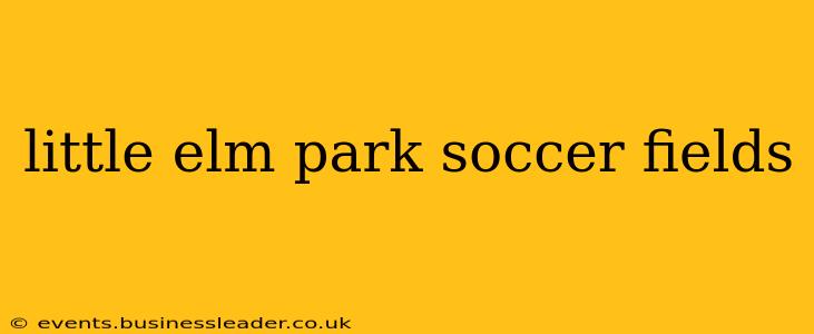 little elm park soccer fields