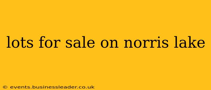 lots for sale on norris lake