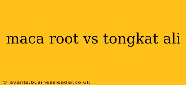 maca root vs tongkat ali