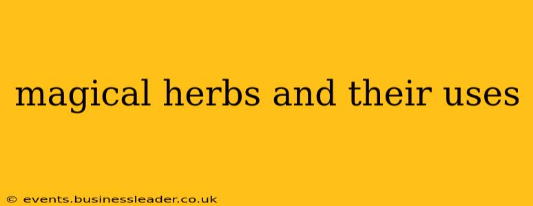 magical herbs and their uses