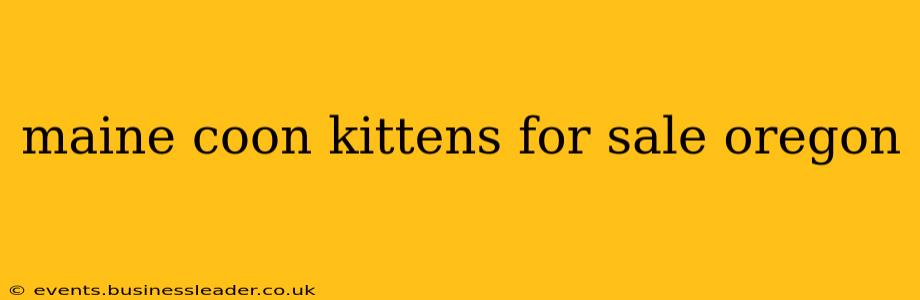 maine coon kittens for sale oregon