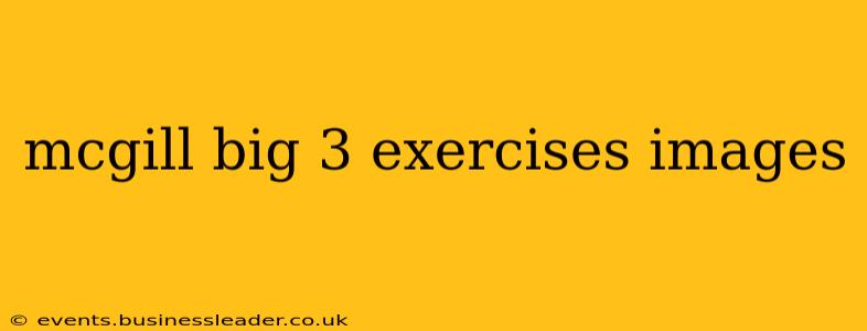 mcgill big 3 exercises images