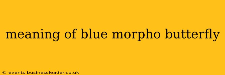 meaning of blue morpho butterfly