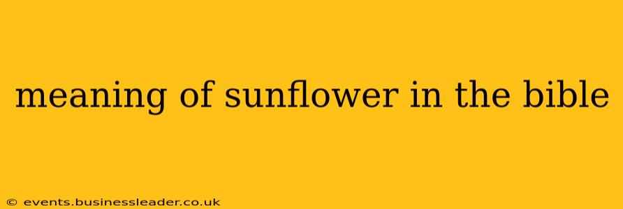 meaning of sunflower in the bible