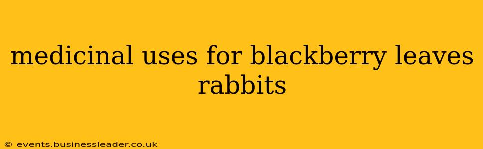 medicinal uses for blackberry leaves rabbits