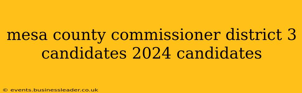 mesa county commissioner district 3 candidates 2024 candidates
