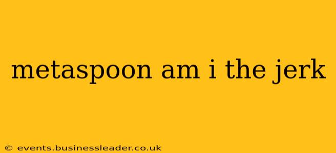 metaspoon am i the jerk