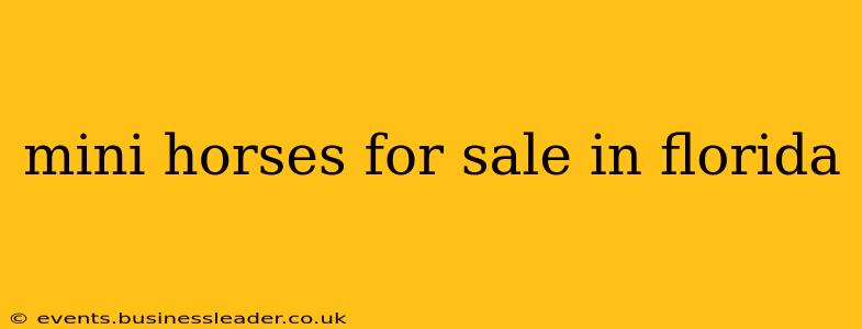 mini horses for sale in florida