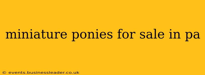 miniature ponies for sale in pa